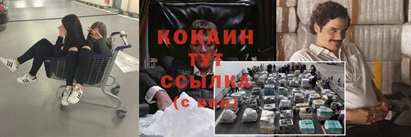 PSILOCYBIN Богородск