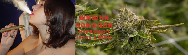 PSILOCYBIN Богородск