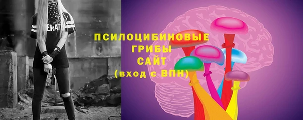 а пвп мука Богданович