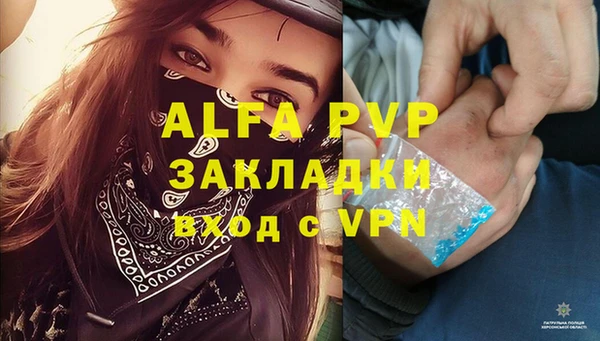 PSILOCYBIN Богородск