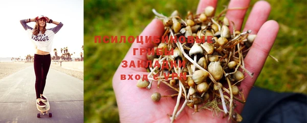 а пвп мука Богданович