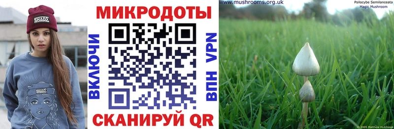 Псилоцибиновые грибы Cubensis  цены наркотик  Дагестанские Огни 
